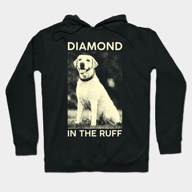 Diamond in the Ruff Hoodie by giovanniiiii